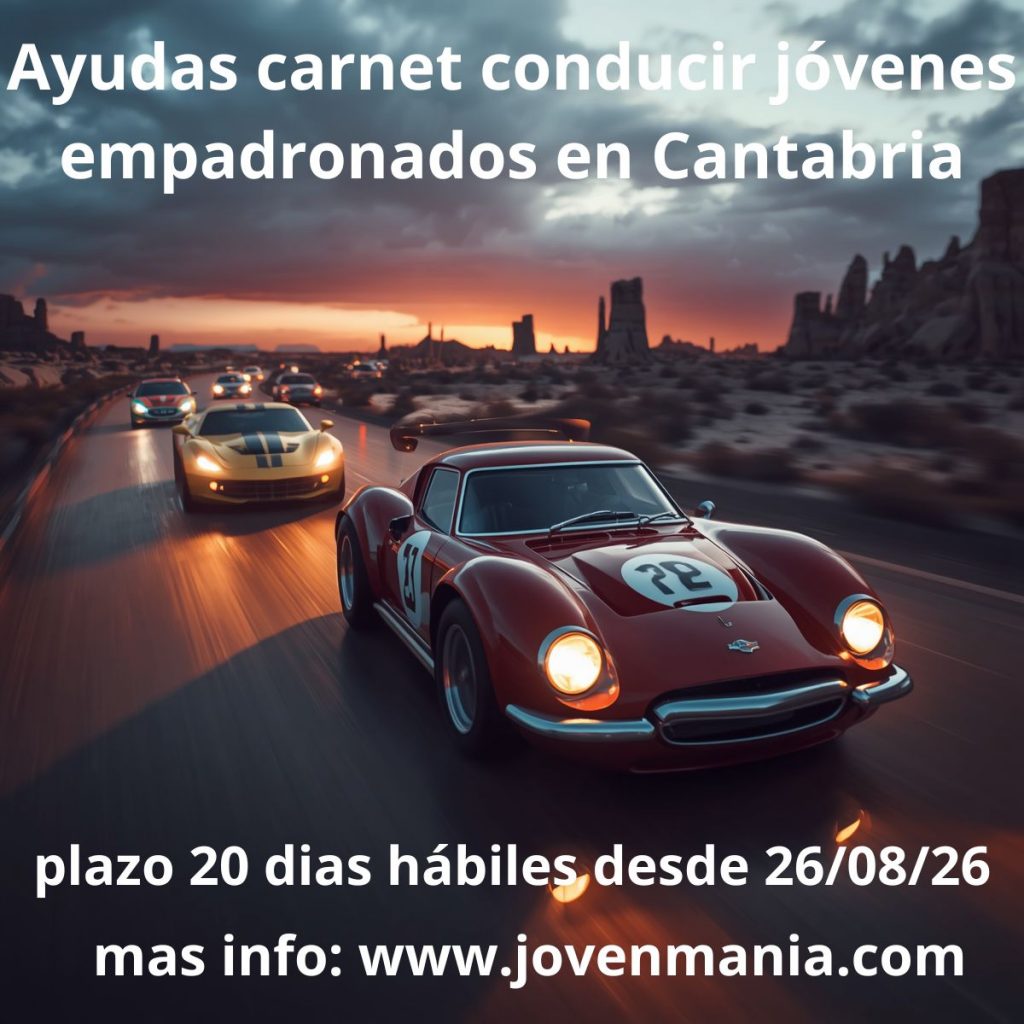 Ayuda Carnet Conducir 2026